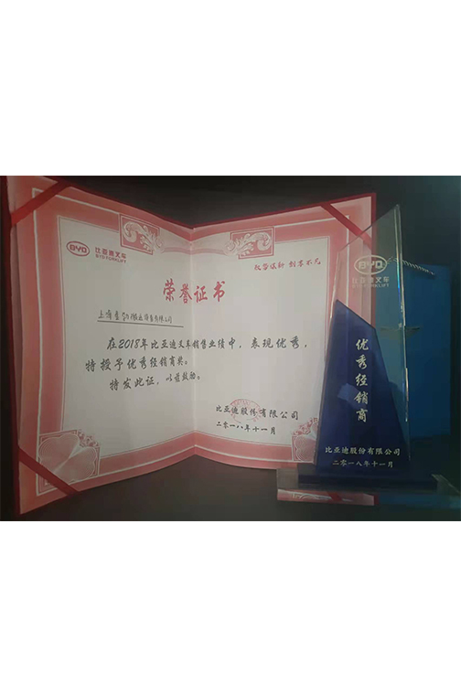 虹口区比亚迪2018优秀经销商